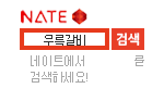 http://www.nate.com